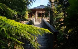 Octagonal Forest Treehouse with Private Spring-Fed Hot Tub - Waiheke Island, New Zealand