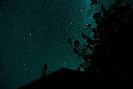 Octagonal Forest Treehouse with Private Spring-Fed Hot Tub - Waiheke Island, New Zealand