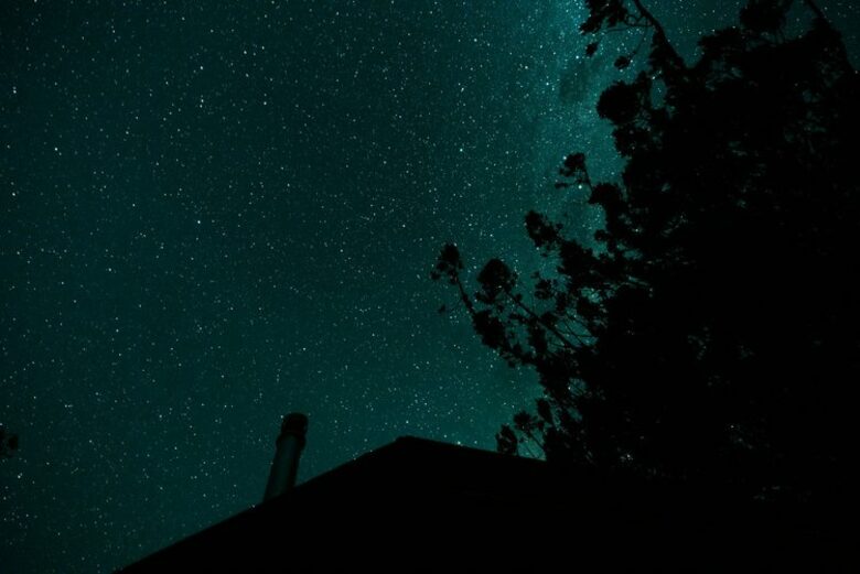 Octagonal Forest Treehouse with Private Spring-Fed Hot Tub - Waiheke Island, New Zealand