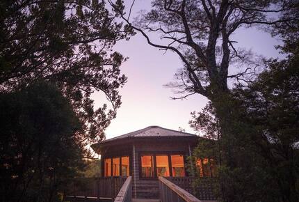 Octagonal Forest Treehouse with Private Spring-Fed Hot Tub - Waiheke Island, New Zealand