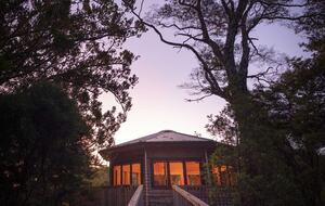 Octagonal Forest Treehouse with Private Spring-Fed Hot Tub - Waiheke Island, New Zealand
