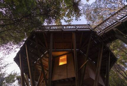 Octagonal Forest Treehouse with Private Spring-Fed Hot Tub - Waiheke Island, New Zealand
