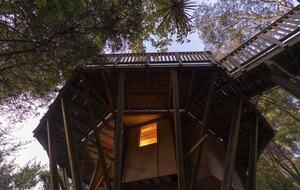 Octagonal Forest Treehouse with Private Spring-Fed Hot Tub - Waiheke Island, New Zealand