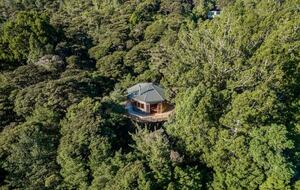 Octagonal Forest Treehouse with Private Spring-Fed Hot Tub - Waiheke Island, New Zealand