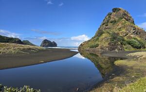 North-Facing Coastal Estate Overlooking Piha Beach - Piha, New Zealand