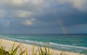 Ocean Bliss - Miramar Beach, Florida