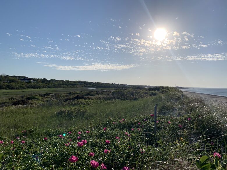 Association private beach