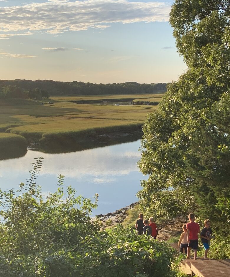 Stairs lead down to the creek from the deck
