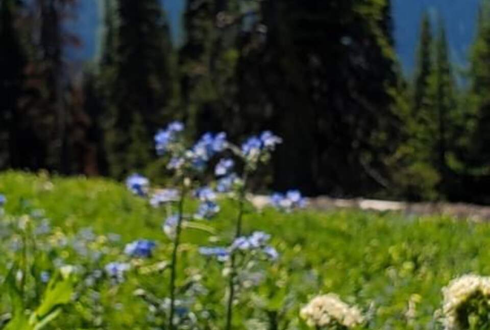 Ski-In Ski-Out Living at Echo Landing in Sun Peaks - Sun Peaks, Canada