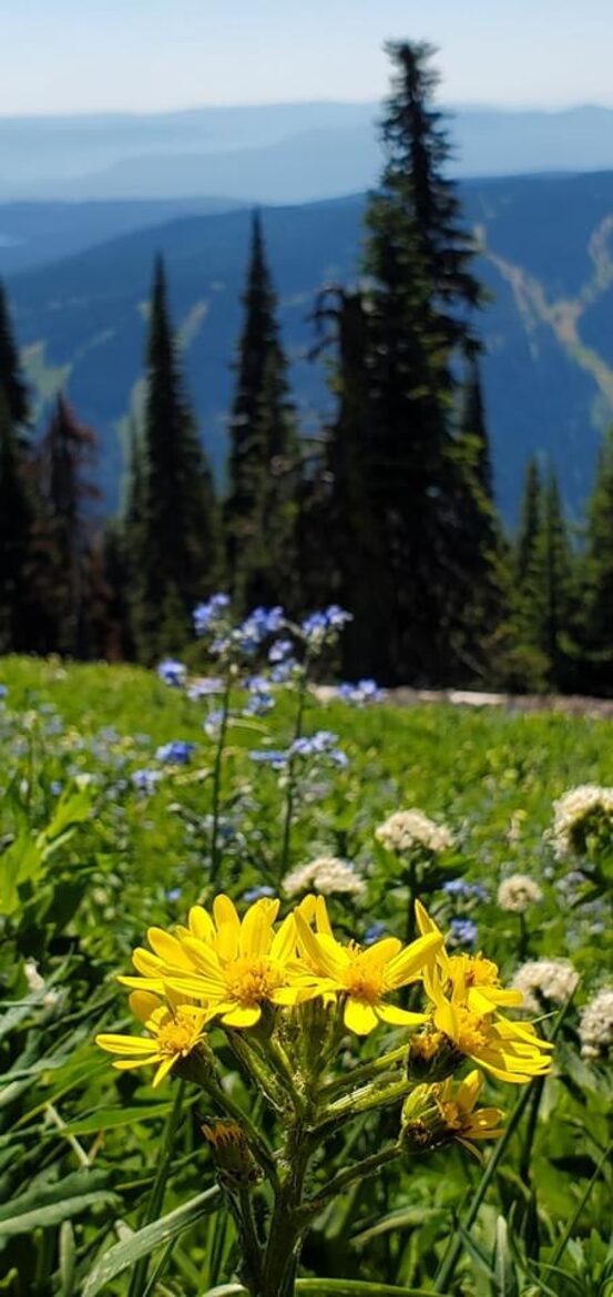 Ski-In Ski-Out Living at Echo Landing in Sun Peaks - Sun Peaks, Canada