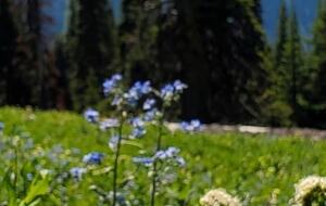 Ski-In Ski-Out Living at Echo Landing in Sun Peaks - Sun Peaks, Canada