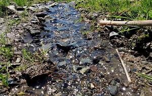 Ski-In Ski-Out Living at Echo Landing in Sun Peaks - Sun Peaks, Canada