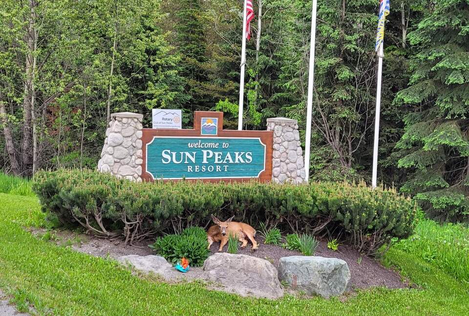 Ski-In Ski-Out Living at Echo Landing in Sun Peaks - Sun Peaks, Canada