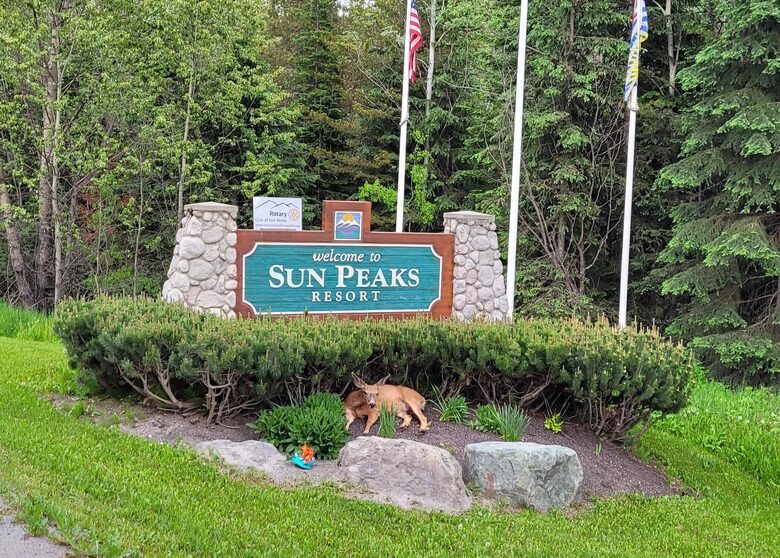 Ski-In Ski-Out Living at Echo Landing in Sun Peaks - Sun Peaks, Canada