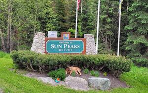 Ski-In Ski-Out Living at Echo Landing in Sun Peaks - Sun Peaks, Canada