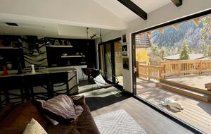 Modern Mountain Living on Vail's Bus Line - Vail, Colorado