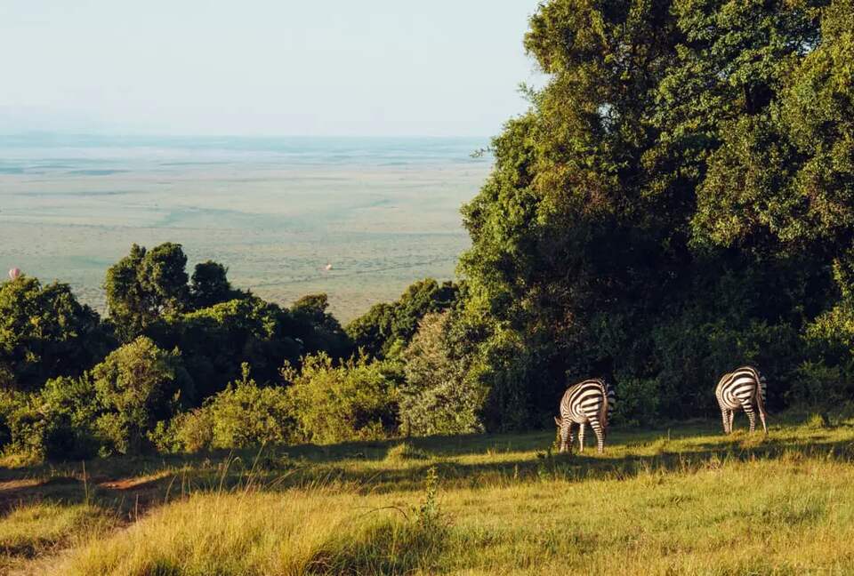 Manzili Mara - Maasai Mara, Kenya