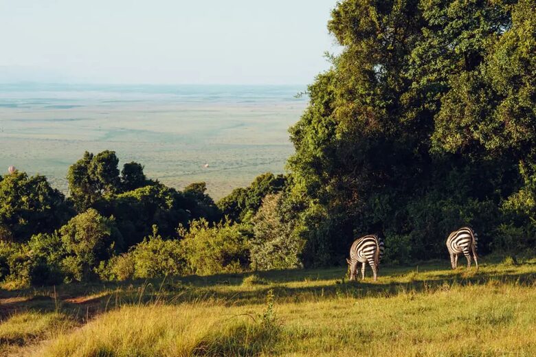 Manzili Mara - Maasai Mara, Kenya
