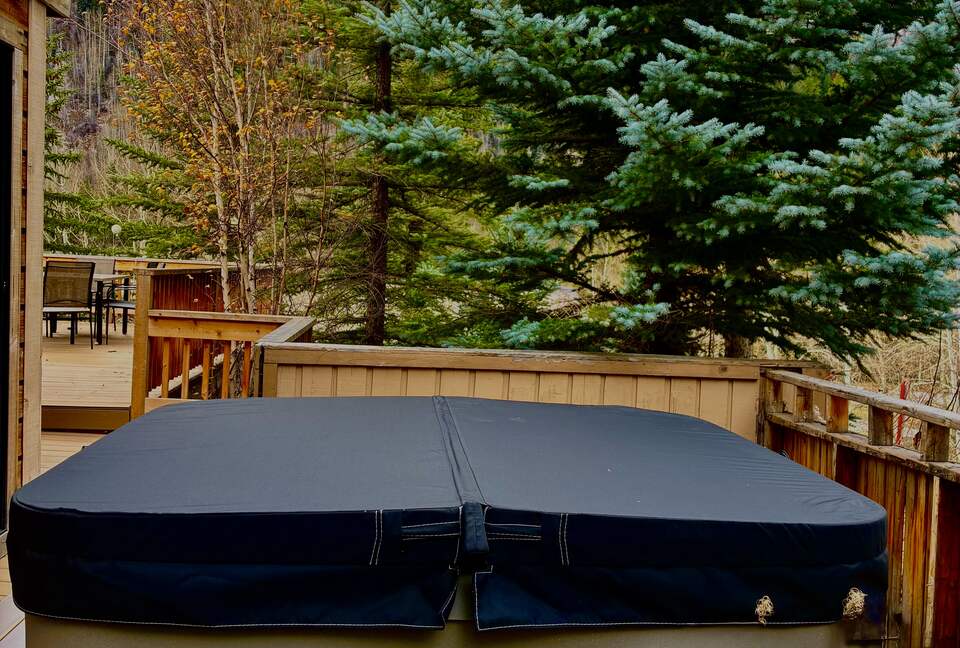 Modern Mountain Living on Vail's Bus Line - Vail, Colorado