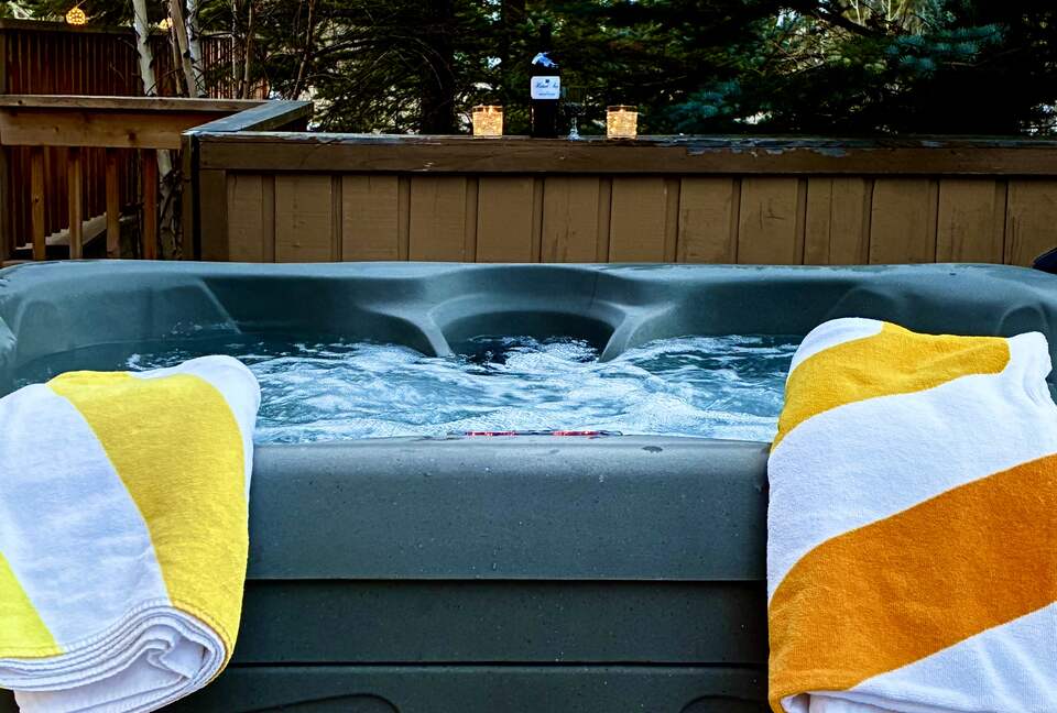 Modern Mountain Living on Vail's Bus Line - Vail, Colorado