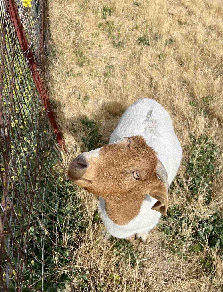 Cozy Wine Country Escape with Countryside Views - Paso Robles, California