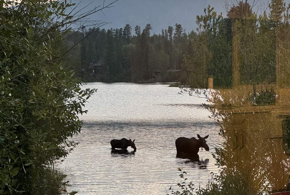 Peaceful Lake-Facing Living in Grand Lake - Grand Lake, Colorado