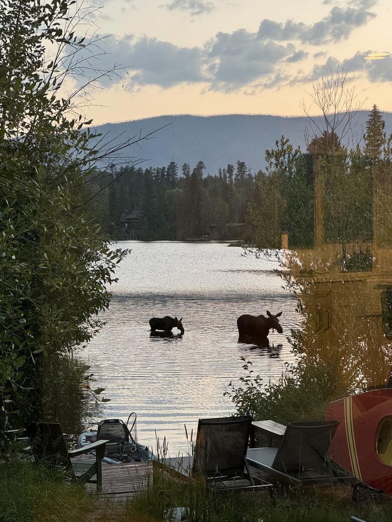 Peaceful Lake-Facing Living in Grand Lake - Grand Lake, Colorado