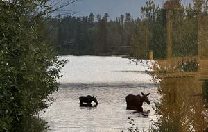 Peaceful Lake-Facing Living in Grand Lake - Grand Lake, Colorado