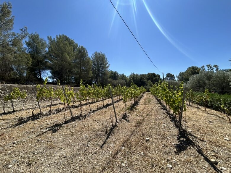 A Serene Luxury Villa in the Perfect Provence Location - Le Brûlât, France