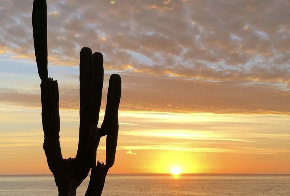 Private Pool Above the Sea of Cortez - San José del Cabo, Mexico