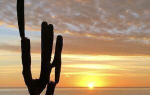 Private Pool Above the Sea of Cortez - San José del Cabo, Mexico