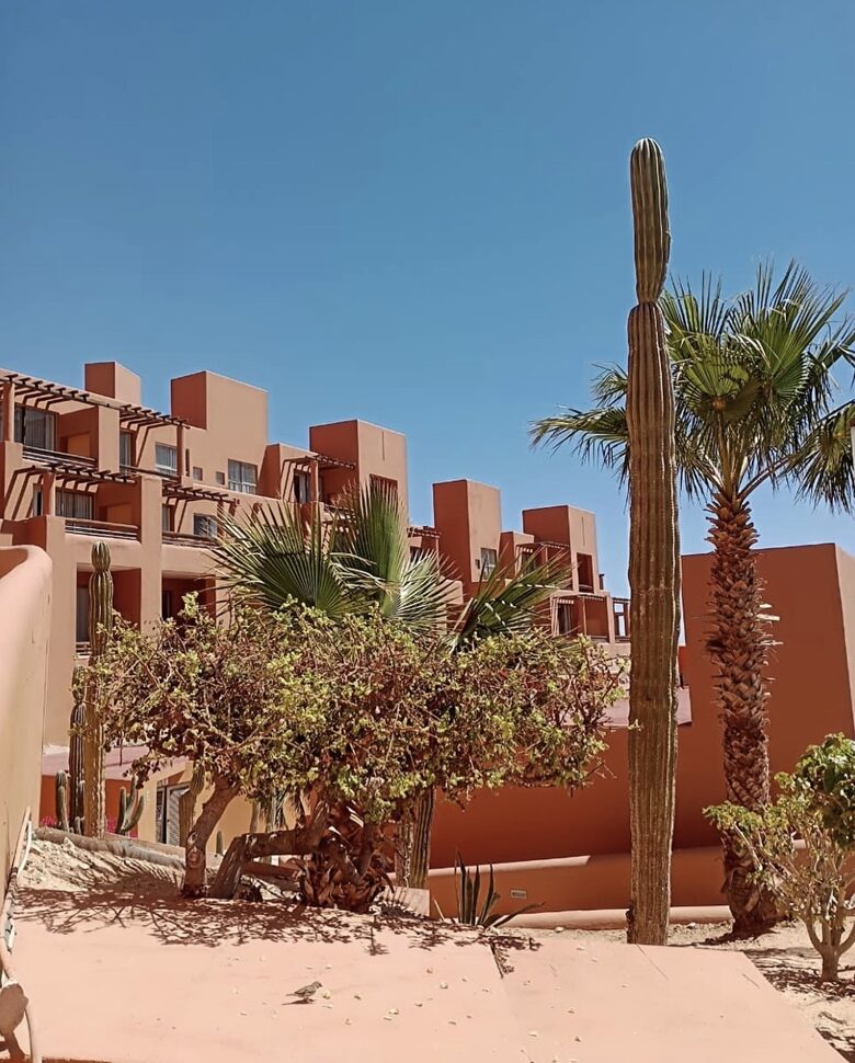 Private Pool Above the Sea of Cortez - San José del Cabo, Mexico