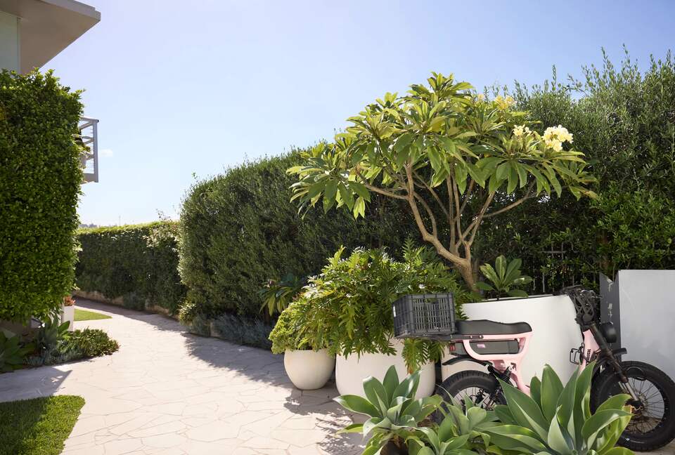 Mornings Over Bondi - Sydney, Australia