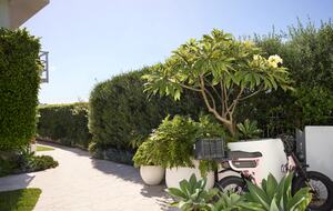 Mornings Over Bondi - Sydney, Australia