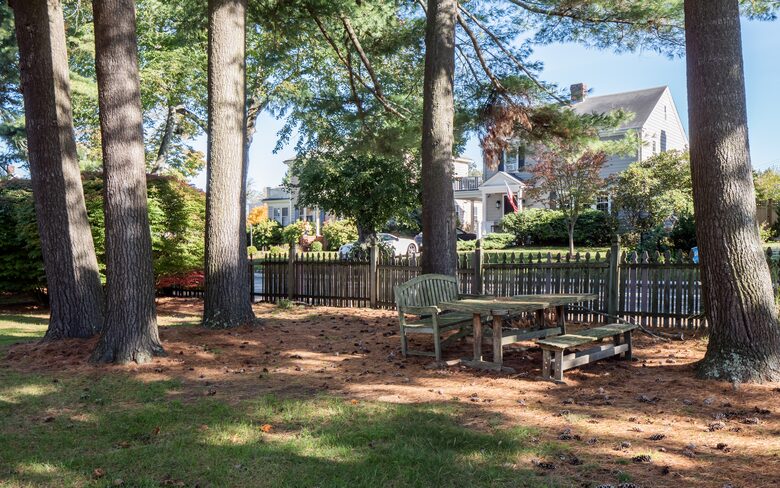 Shared yard on property