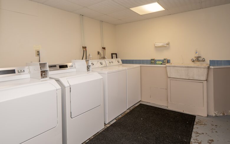 Shared laundry in basement of main house