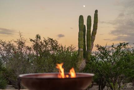Solar-Powered Desert Retreat with Rooftop Views near La Ventana - El Sargento, Mexico
