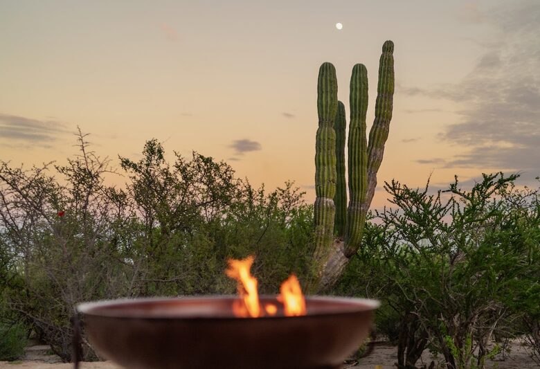 Solar-Powered Desert Retreat with Rooftop Views near La Ventana - El Sargento, Mexico