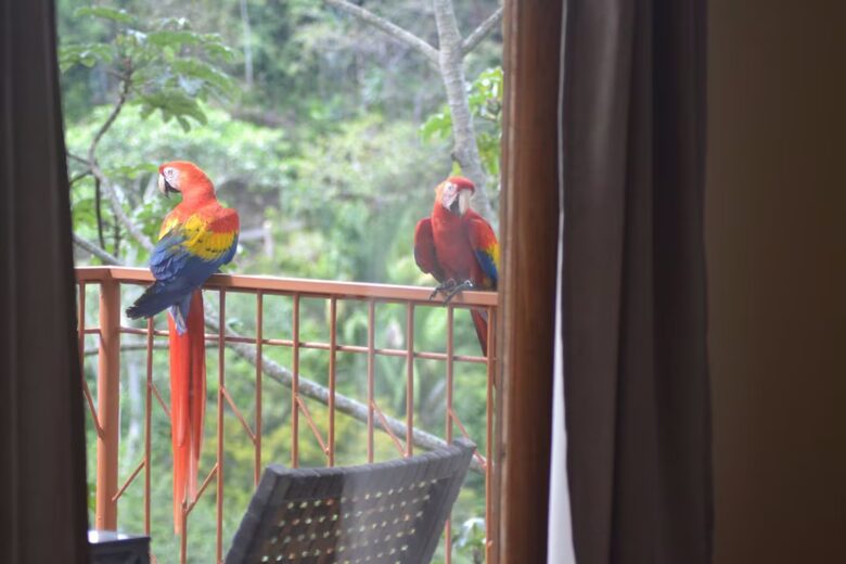 Rainforest Estate with Ocean Views near Manuel Antonio National Park - Quepos, Costa Rica