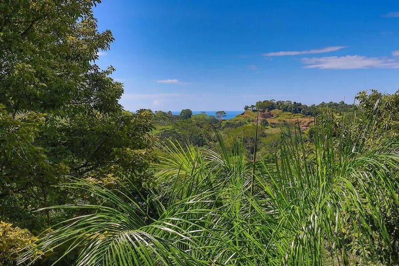 Rainforest Estate with Ocean Views near Manuel Antonio National Park - Quepos, Costa Rica