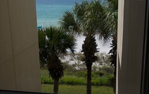 Ocean Bliss - Miramar Beach, Florida