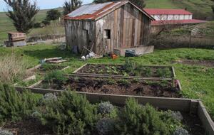 Sonoma County Farm Estate with Artisan Creamery - Petaluma, California
