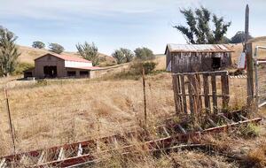 Sonoma County Farm Estate with Artisan Creamery - Petaluma, California
