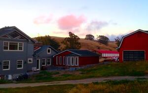 Sonoma County Farm Estate with Artisan Creamery - Petaluma, California