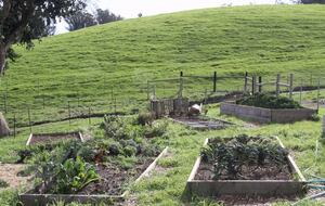 Sonoma County Farm Estate with Artisan Creamery - Petaluma, California