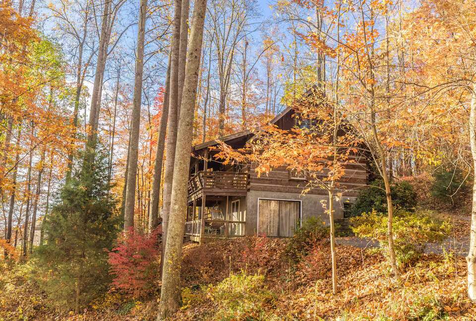 Private Mountain Log Cabin Retreat Near Asheville - Candler, North Carolina