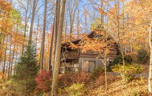 Private Mountain Log Cabin Retreat Near Asheville - Candler, North Carolina