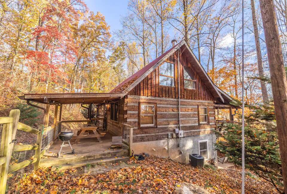 Private Mountain Log Cabin Retreat Near Asheville - Candler, North Carolina