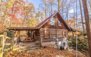 Private Mountain Log Cabin Retreat Near Asheville - Candler, North Carolina