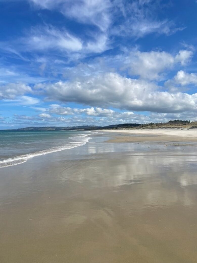 Forest Estate Retreat Minutes from Tara iti and Te Arai Links Golf - Te Arai, New Zealand